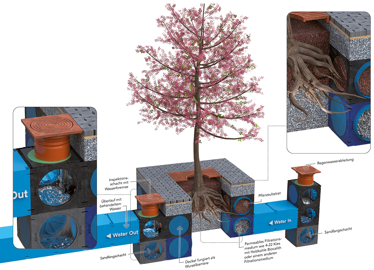 DE_15_Traplante DE_15_Traplante
