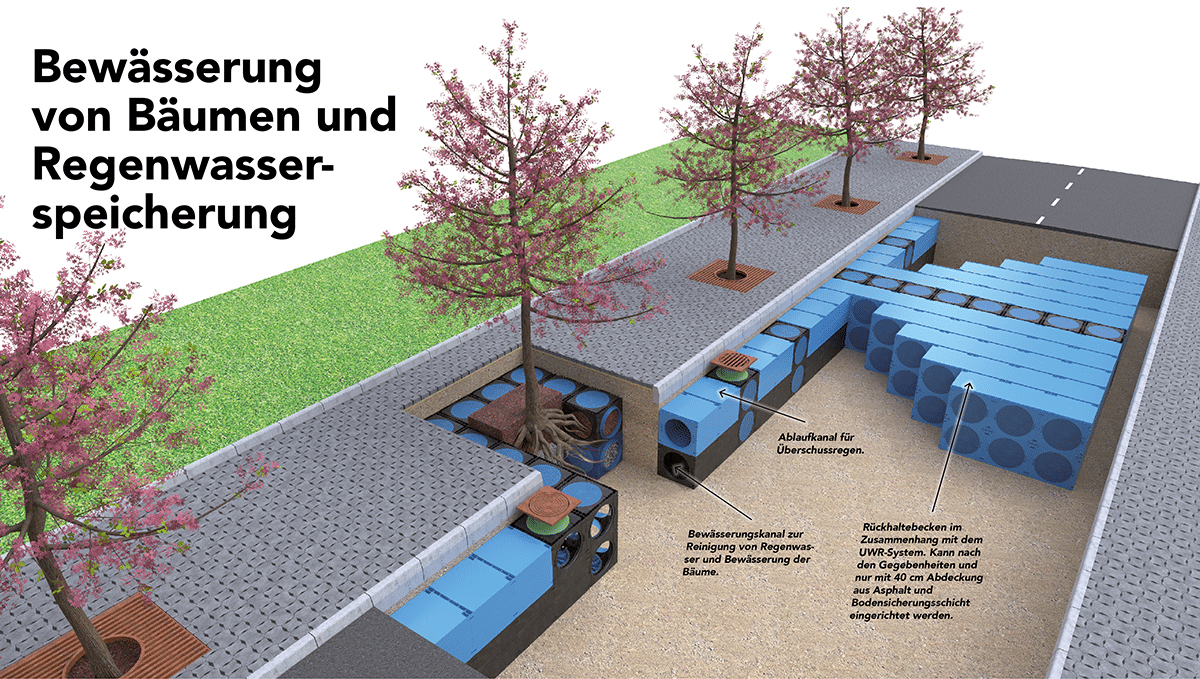 DE_16_17_Traplante DE_16_17_Traplante