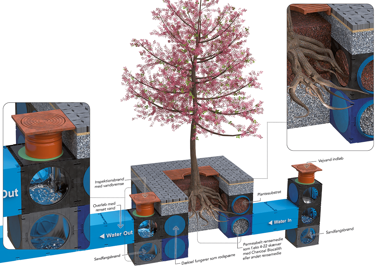 DK_15_Traplante_1200px DK_15_Traplante_1200px