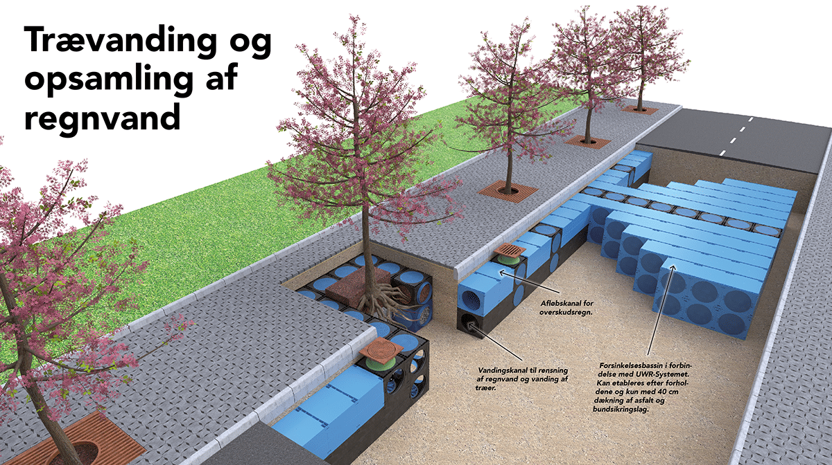 DK_16_17_Traplante_1200px DK_16_17_Traplante_1200px