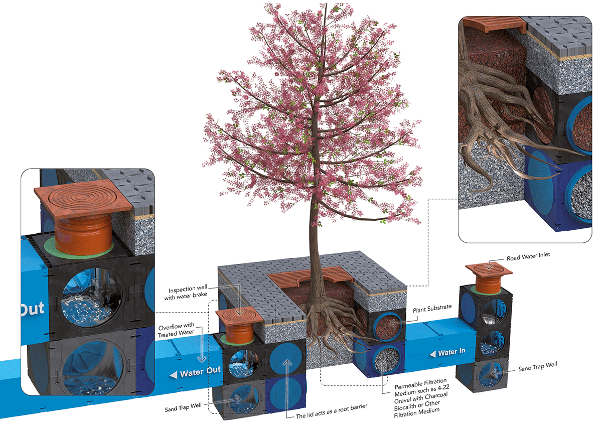 UK_15_Traplante UK_15_Traplante